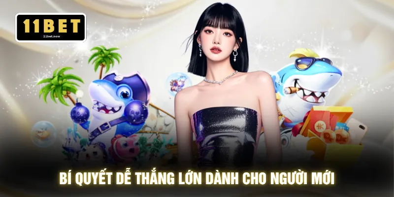 Bí quyết dễ thắng lớn dành cho người mới
