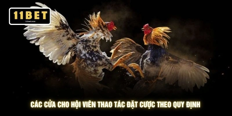 Luật Đá Gà Miền Bắc - Bí Quyết Thắng Khủng Tại 11BET 3 Các cửa cho hội viên thao tác đặt cược theo quy định