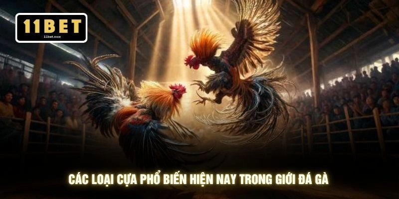 Luật Đá Gà Miền Bắc - Bí Quyết Thắng Khủng Tại 11BET 4 Các loại cựa phổ biến hiện nay trong giới đá gà