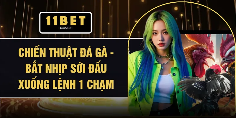 Chiến Thuật Đá Gà - Bắt Nhịp Sới Đấu Xuống Lệnh 1 Chạm
