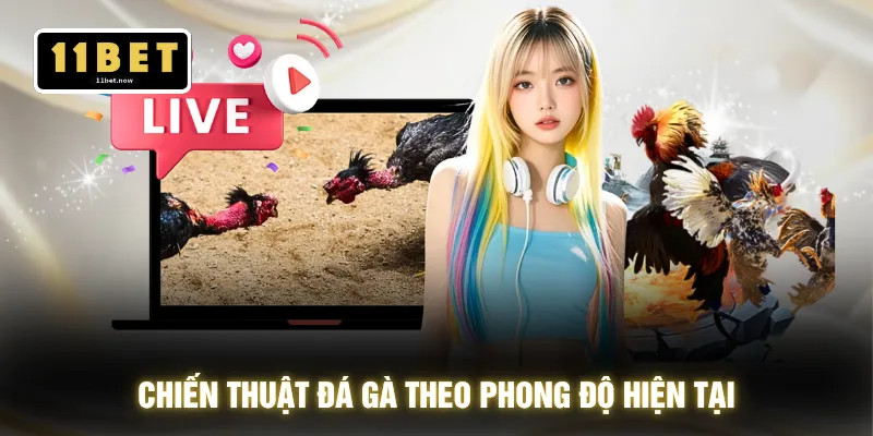 Chiến thuật đá gà theo phong độ hiện tại
