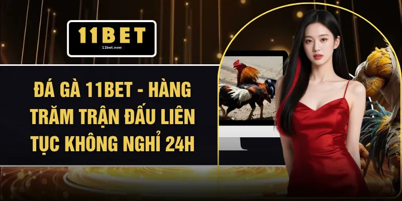 Đá Gà 11BET - Hàng Trăm Trận Đấu Liên Tục Không Nghỉ 24h