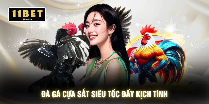 Đá Gà Cựa Sắt - Trận Đấu Nảy Lửa Chốt Kèo Trong 1 Nhịp 2 Đá gà cựa sắt siêu tốc đầy kịch tính