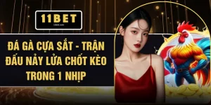 Đá Gà Cựa Sắt - Trận Đấu Nảy Lửa Chốt Kèo Trong 1 Nhịp
