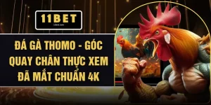 Đá Gà Thomo - Góc Quay Chân Thực Xem Đã Mắt Chuẩn 4K