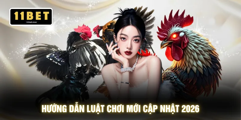 Đá Gà Cựa Sắt - Trận Đấu Nảy Lửa Chốt Kèo Trong 1 Nhịp 3 Hướng dẫn luật chơi mới cập nhật 2026