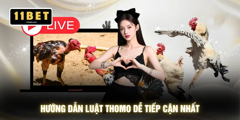 Hướng dẫn luật Thomo dễ tiếp cận nhất