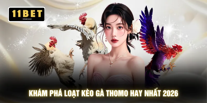Khám phá loạt kèo gà Thomo hay nhất 2026