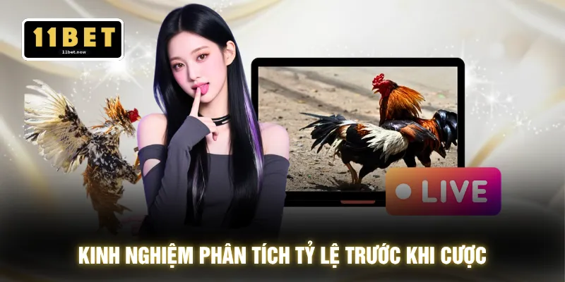 Kinh nghiệm phân tích tỷ lệ trước khi cược