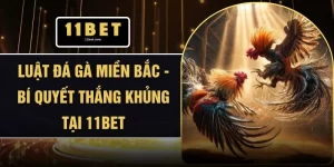 Luật Đá Gà Miền Bắc - Bí Quyết Thắng Khủng Tại 11BET