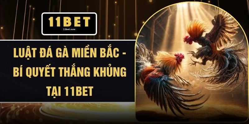 Luật Đá Gà Miền Bắc - Bí Quyết Thắng Khủng Tại 11BET 1 Luật Đá Gà Miền Bắc - Bí Quyết Thắng Khủng Tại 11BET