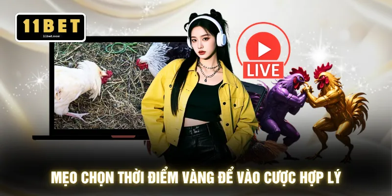 Mẹo chọn thời điểm vàng để vào cược hợp lý