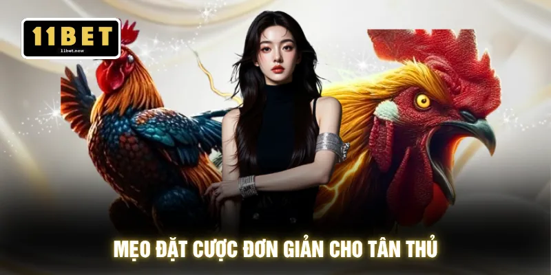 Đá Gà Cựa Sắt - Trận Đấu Nảy Lửa Chốt Kèo Trong 1 Nhịp 4 Mẹo đặt cược đơn giản cho tân thủ